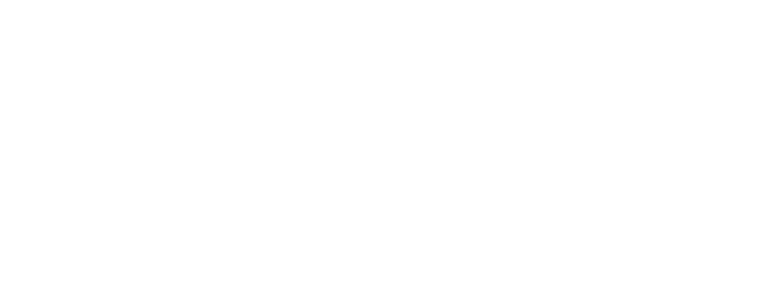 Dürr Metall